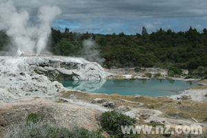 Prince of Wales Feather Geyser at Whakarewarewa, Rotorua