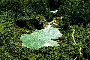 Emerald Pools at Waimangu, Rotorua